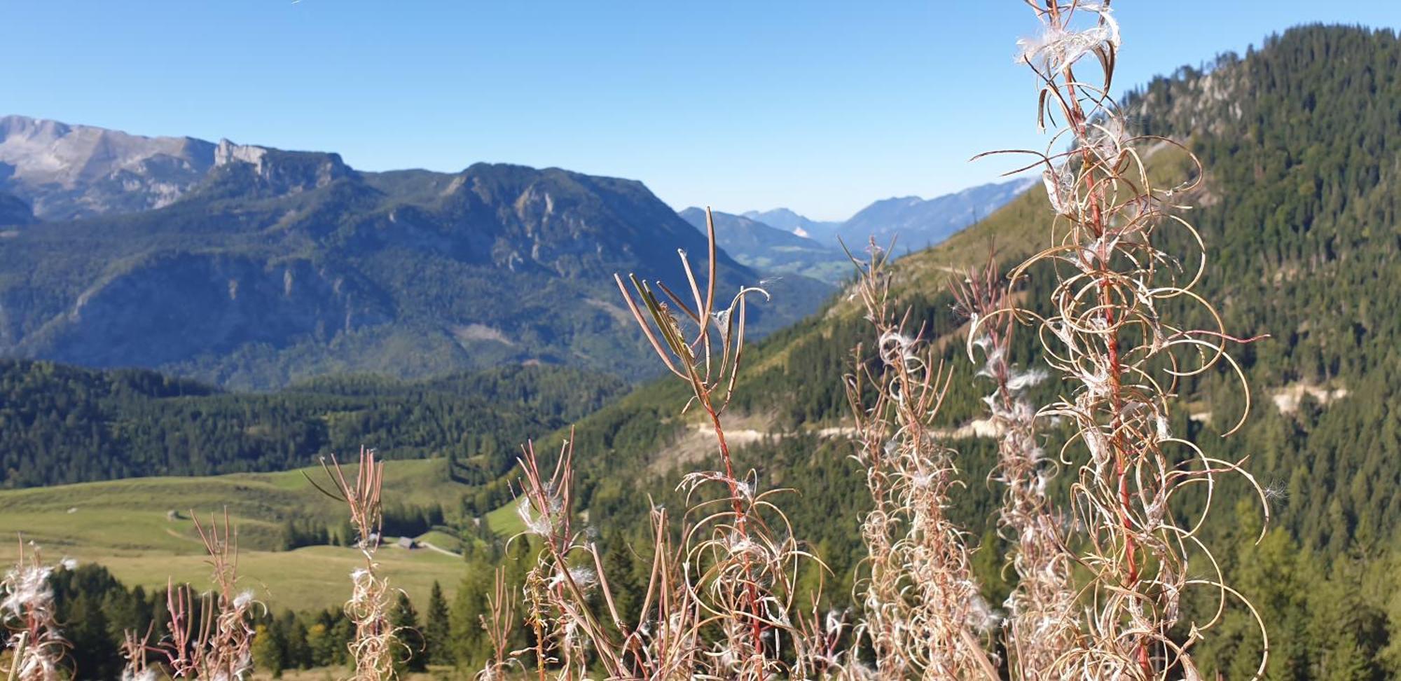 Ferienhaus Mountain View ชปิทัล อัม เพิร์ม ภายนอก รูปภาพ